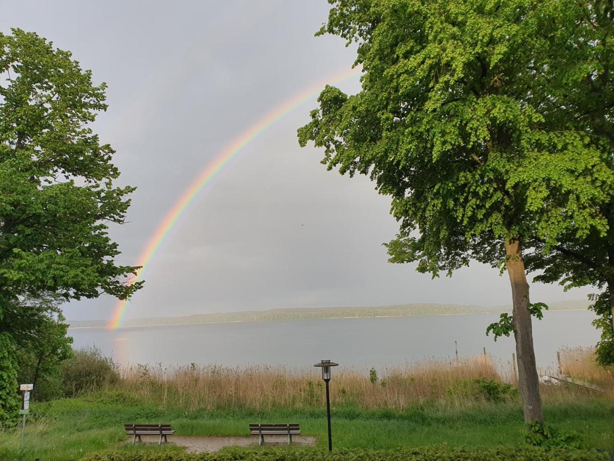 Villa Seeschwalbe Plau Plau am See Buitenkant foto
