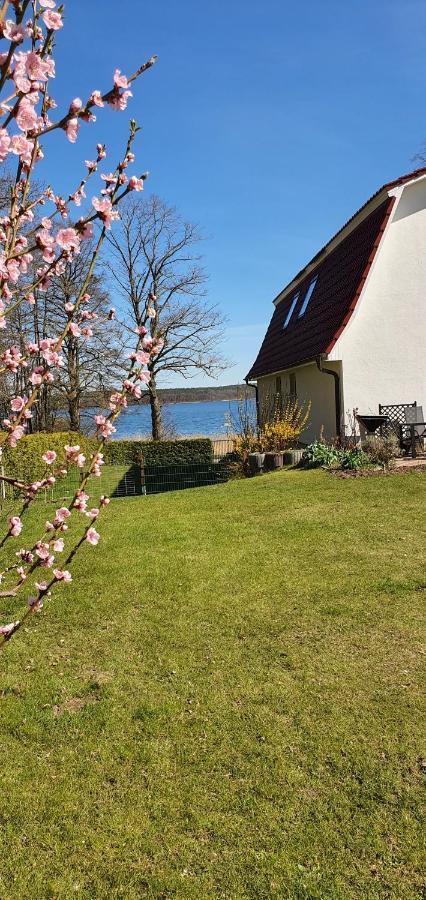 Villa Seeschwalbe Plau Plau am See Buitenkant foto