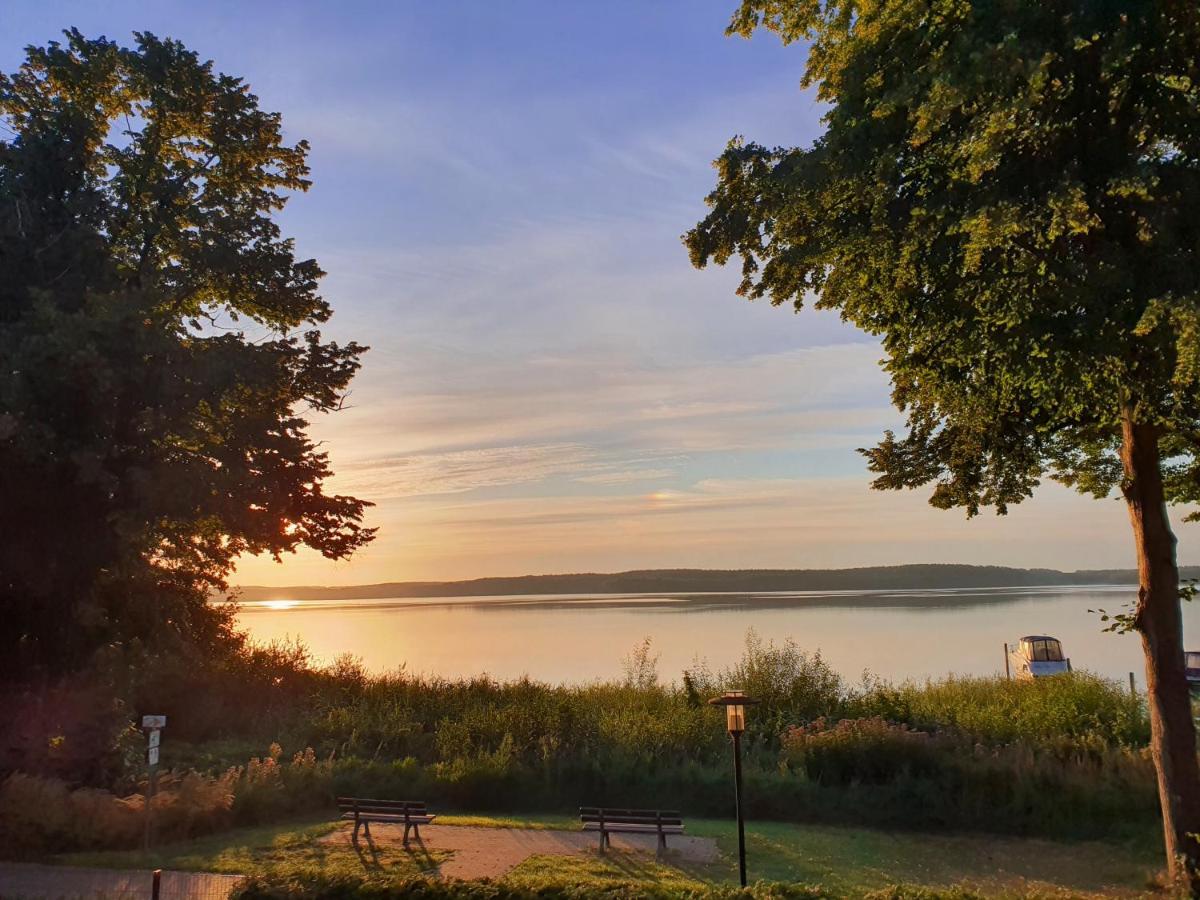 Villa Seeschwalbe Plau Plau am See Buitenkant foto