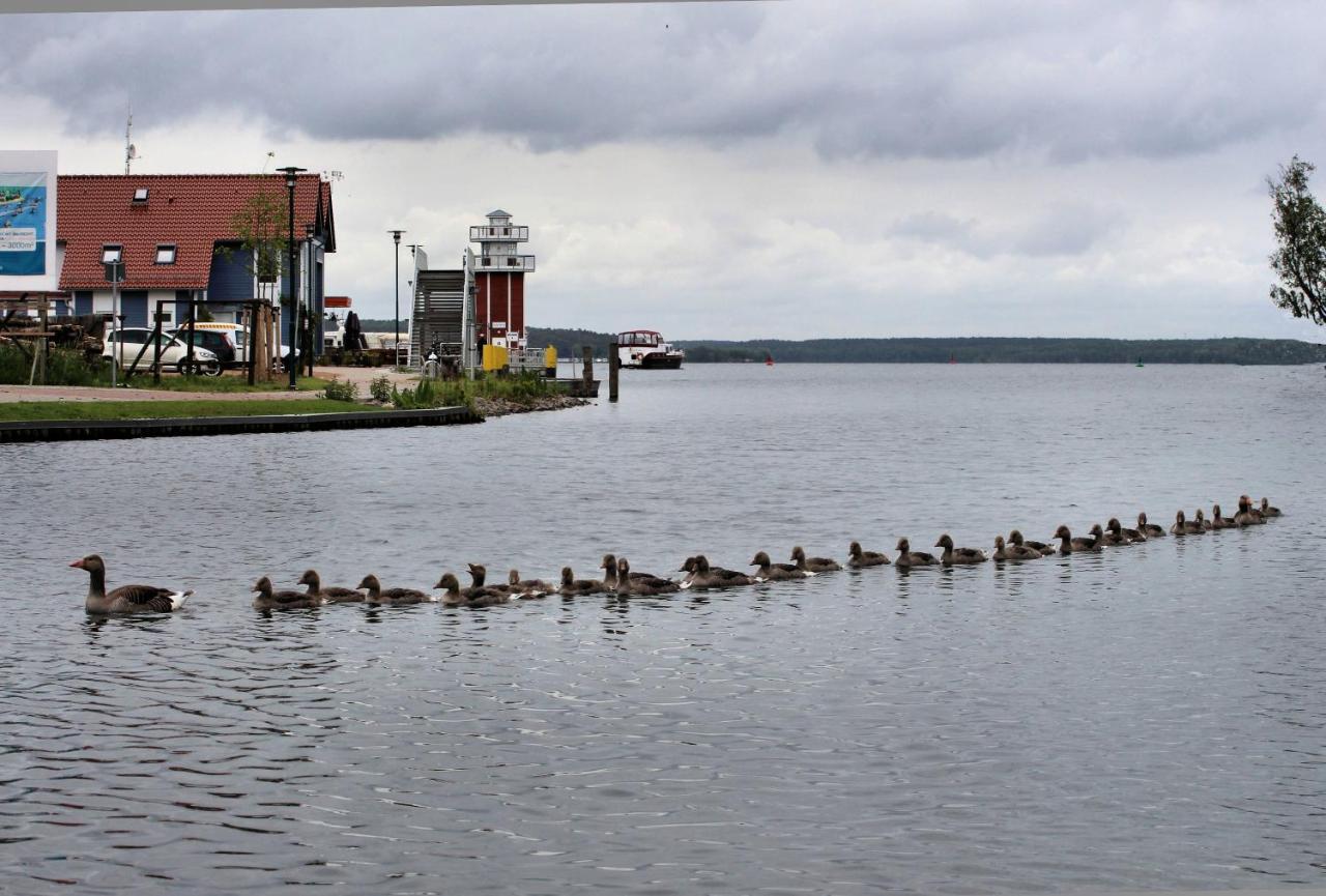 Villa Seeschwalbe Plau Plau am See Buitenkant foto