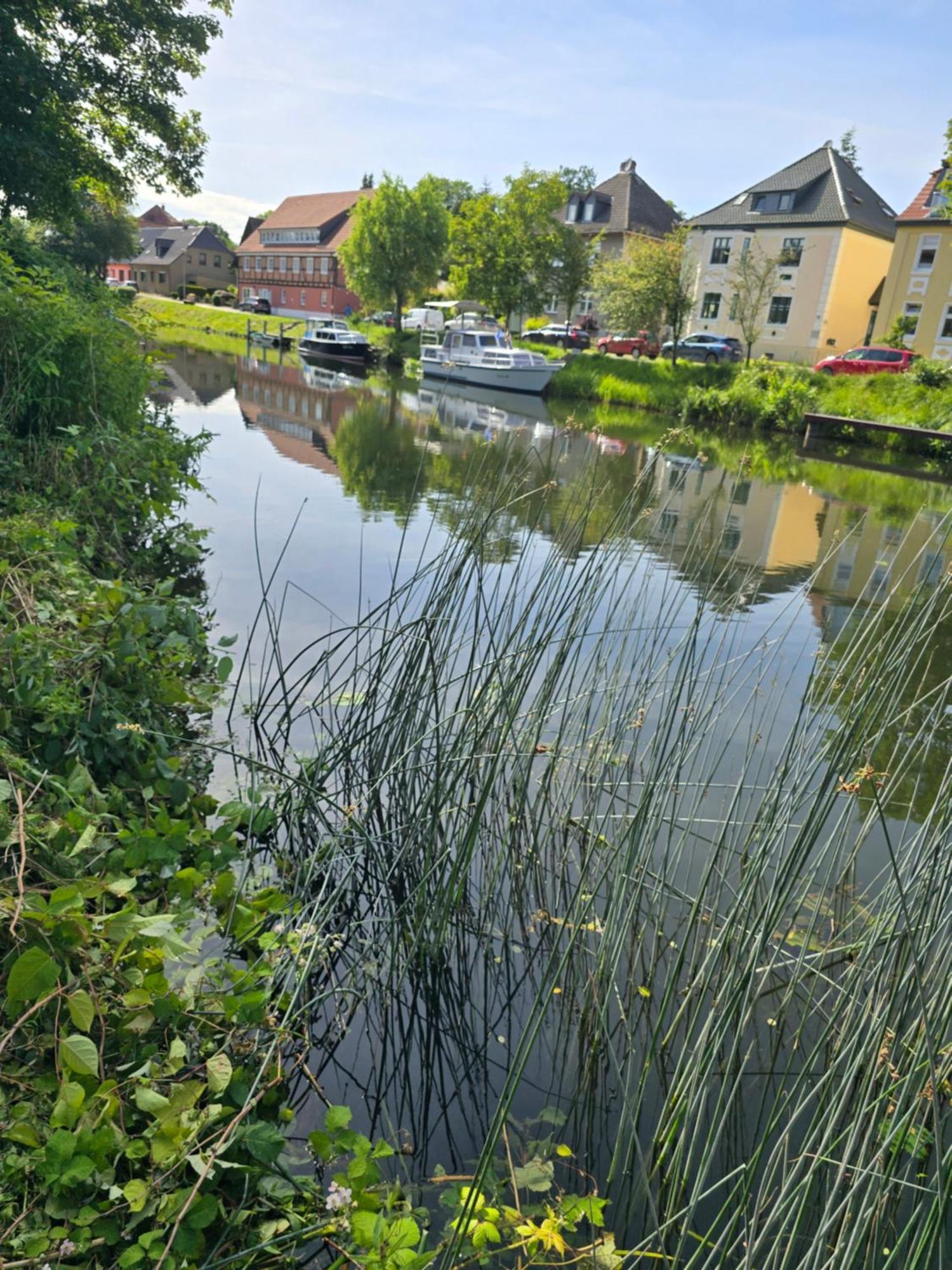 Villa Seeschwalbe Plau Plau am See Buitenkant foto